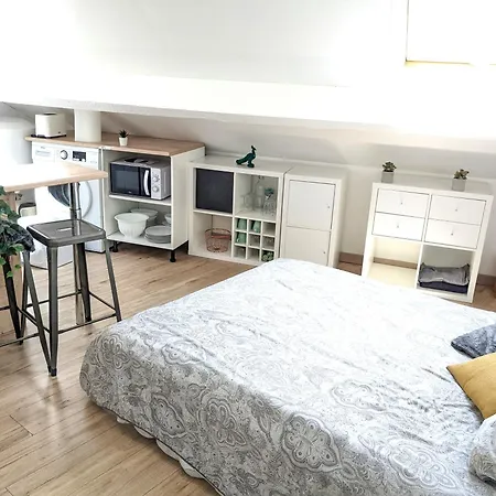 Cosy Lys - T1 - Centre Bosquet & Clemenceau