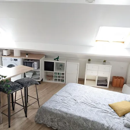 Cosy Lys - T1 - Centre Bosquet & Clemenceau *